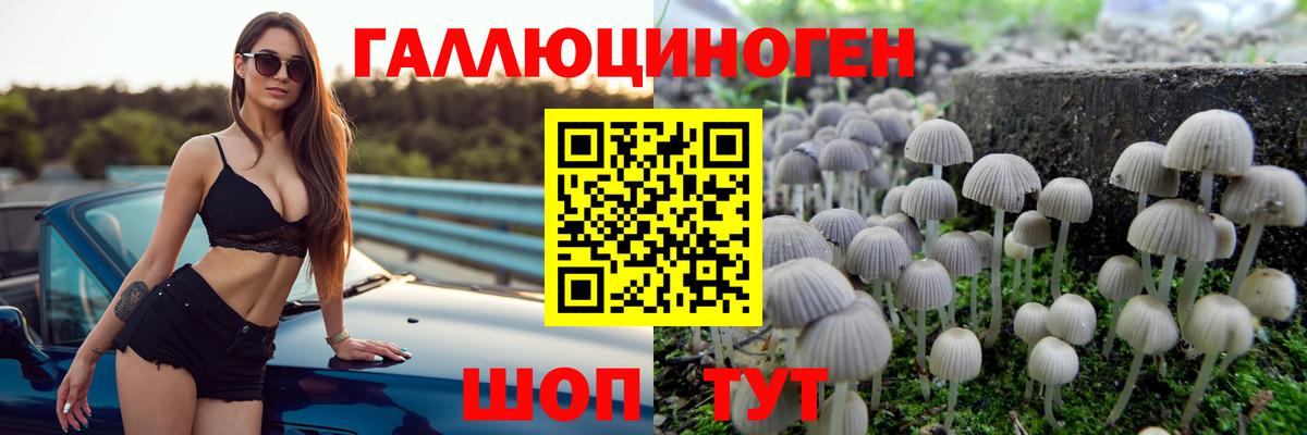 Псилоцибиновые грибы прущие грибы Красноярск