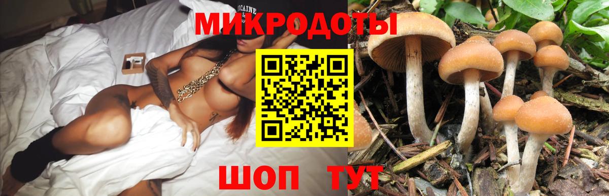 Красноярск  Галлюциногенные грибы мицелий  Псилоцибиновые грибы Psilocybine cubensis  Вход с VPN 